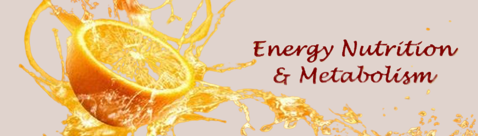 Энергетическое питание & метаболизм
